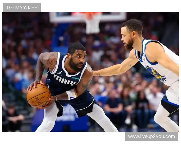 ld体育平台最新版本上线，全面优化用户体验与安全保障措施详解