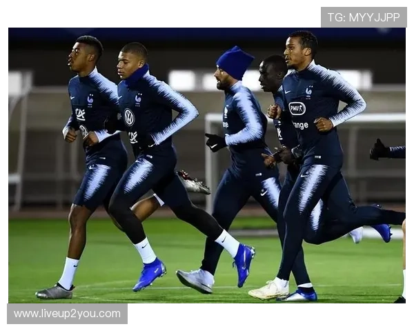 uu球体育多元化内容布局：体育新闻、赛事回放与互动社区全方位覆盖